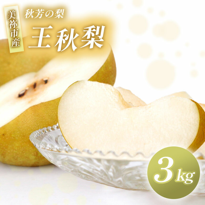 【ふるさと納税】 美祢市産 王秋梨 3kg 先行予約 〈2025年 11月中旬頃 ～ 発送予定〉｜ 王秋梨 なし 梨 フルーツ 特産品 美祢市 美祢 山口県 山口 秋芳町 秋芳 秋芳の梨 カルスト台地 先行予約