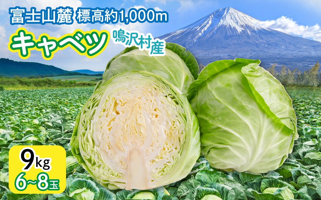 
                  ＜2026年発送＞キャベツ　9㎏　（６～８玉） NSAK005 | ふるさと納税 キャベツ 新鮮 美味しい シャキシャキ 野菜 山梨県 鳴沢村 送料無料 |
                