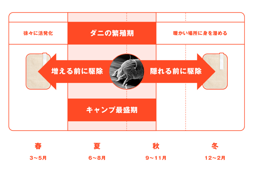 ダニ捕りシート ダニクル 寝袋用 1個（2枚入） [エース産業 宮城県 気仙沼市 20562354] アウトドア ダニ ダニ捕り ハウスダスト アレルギー 予防 寝袋 キャンプ