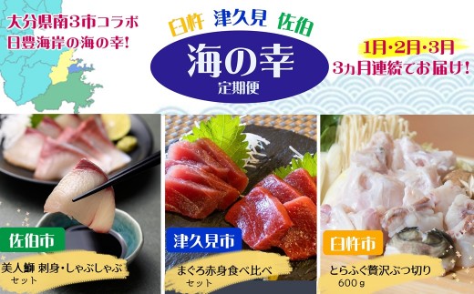 海の幸定期便 大分県南３市（臼杵・津久見・佐伯） 海の幸シリーズ 海鮮 海の幸 マグロ とらふぐ ブリ