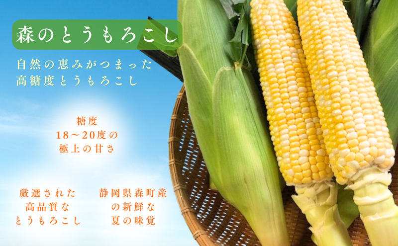 とうもろこし 先行予約 森のとうもろこし 10～11本 しんちゃん農園 大人気 甘い 野菜 夏野菜 旬 夏 高糖度 産地直送 旬の野菜 季節の野菜 おやつ 行列のできる コーン 先行 予約 2025 