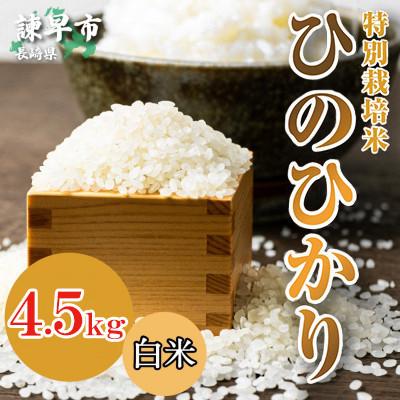 ふるさと納税 諫早市 【令和7年産】特別栽培米・九州のこだわり米「ひのひかり」白米4.5kg |  | 01