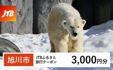 【旭川市】JTBふるさと旅行クーポン（3,000円分）有効期間3年（Eメール発行）｜旅行クーポン