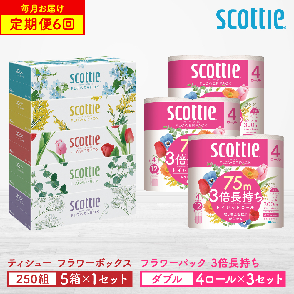 【定期便6回】【毎月お届け】【スコッティ】 ティシュー フラワーボックス 250組（5箱パック×1セット）＋フラワーパック 3倍長持ち（4ロール（ダブル）パック ×3セット） ティッシュ 日用品