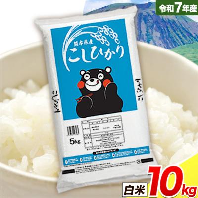 ふるさと納税 南阿蘇村 令和7年産 こしひかり 白米  10kg白米 《7-14日以内に出荷予定(土日祝除く)》