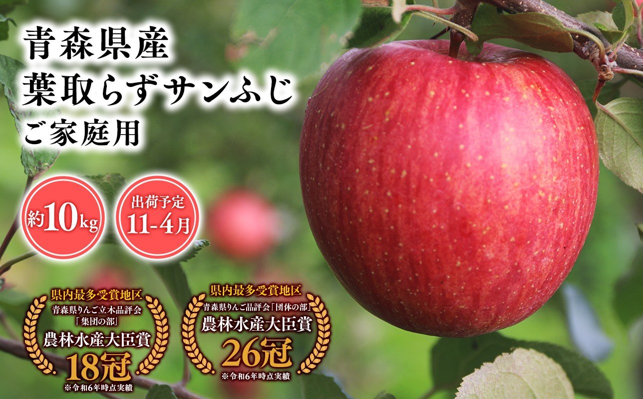 
                  2025年産１１月～４月発送　【訳あり】家庭用葉とらずサンふじ10kg【青森県 平川市 そと川りんご園】１１月～４月発送 家庭用 青森 青森県産 平川 りんご リンゴ 林檎 くだもの 果物 フルーツ 葉とらず サンふじ ふじ
                