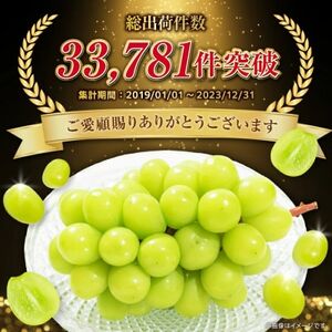 フルーツ王国山梨産 厳選 シャインマスカット 6～8房(約4kg) 2kg×2箱【配送不可地域：離島】【1632338】