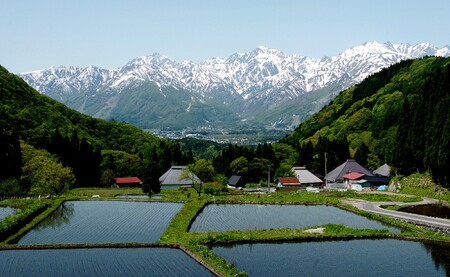 ＜令和7年産＞ 新米 先行予約 ミルキークイーン＜玄米＞5kg /長野県白馬村 信州 2025年産 米 お米 ご飯 ごはん 送料無料【B0030144】