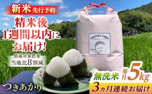 【全3回定期便】こだわり希少米 つきあかり 5kg×3回(計15kg) 新米 先行予約 無洗米 残留農薬不検出 島根県松江市/HALENO FARM [ALDR012]