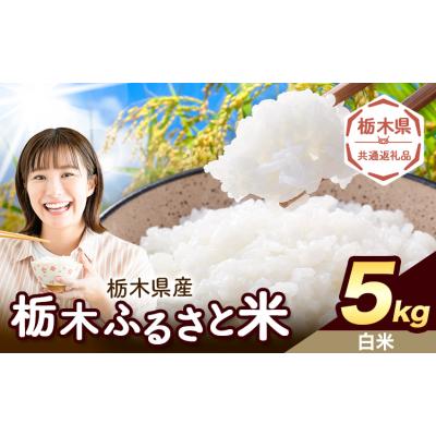 ふるさと納税 野木町 栃木ふるさと米 白米 5kg 栃木県 野木町《1-5日以内》【栃木県共通返礼品】