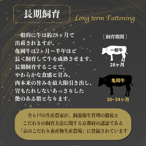亀岡牛 特選霜降り焼肉 500g  焼肉