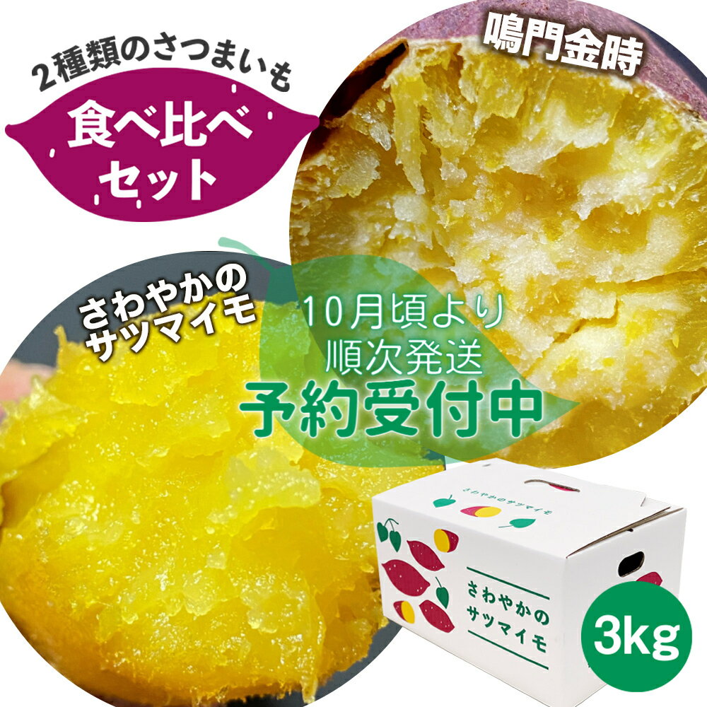 【 予約受付中・2023年10月頃より順次発送 】さわやかのサツマイモ 鳴門金時 食べ比べセット 3kg（10本〜15本） ＜ 徳島さわやかファーム ＞ ｜ さつまいも なると金時 ねっとり ほくほく 甘い 熟成 国産 産地直送 スイーツ 焼き芋 焼芋 焼きいも おやつ