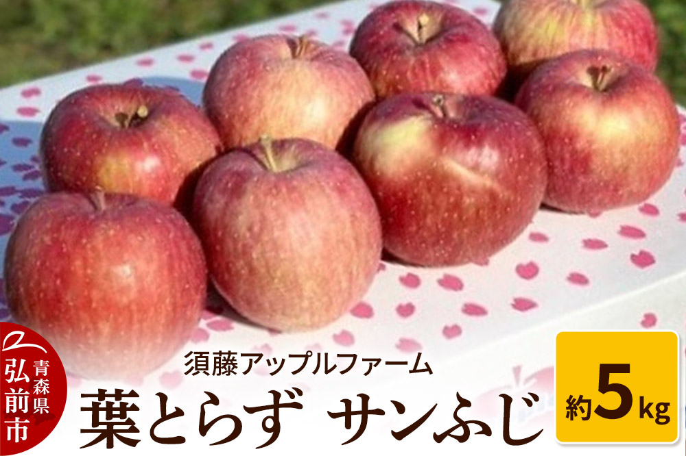 りんご 葉とらず サンふじ 約5kg