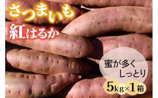 奥野農園 さつまいも (紅はるか) 5kg｜農家 直送 サツマイモ スイーツ 野菜 しっとり ホクホク 焼き芋 やきいも 料理 袖ケ浦 千葉 [0421ch]
