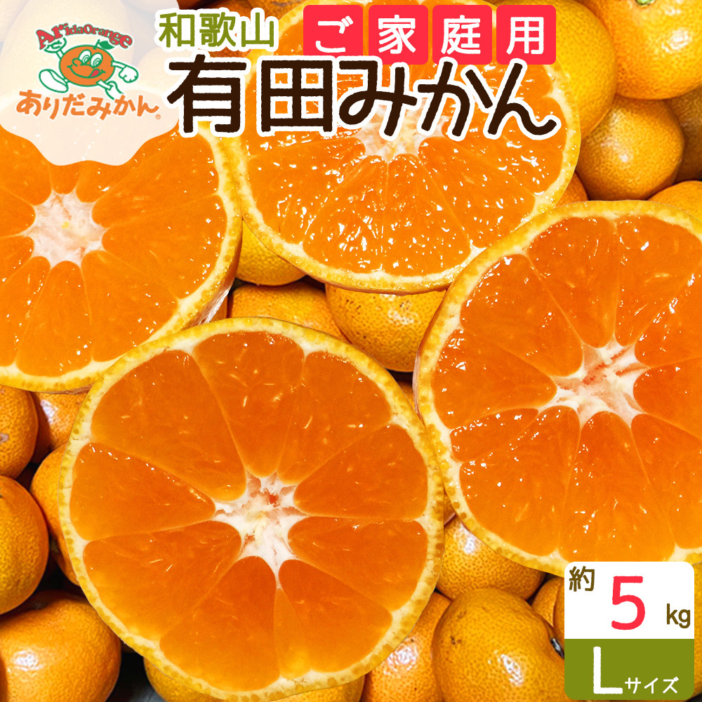 ZJ6085_【ご家庭用】有田みかん 約5kg Lサイズ【湯浅町】