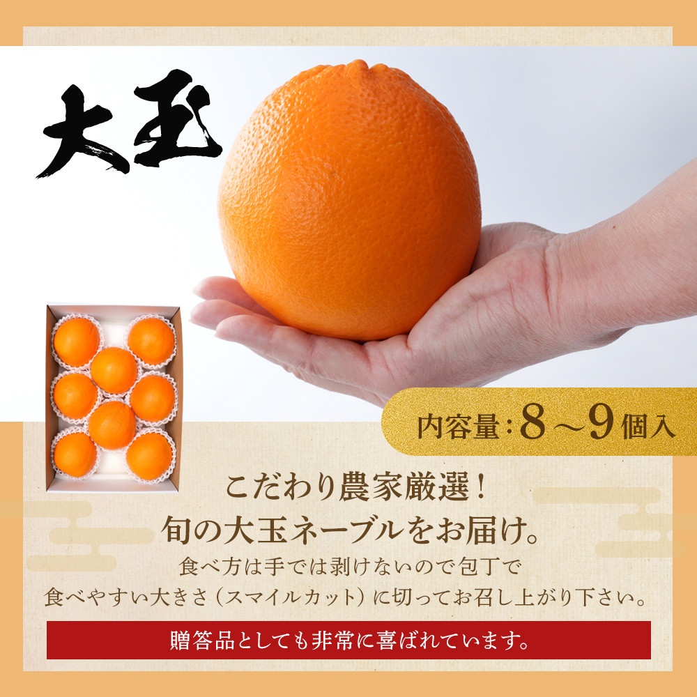 [先行予約] 和歌山県産ネーブル 約4kg　大玉（8個～9個）秀品 こだわり農家厳選 ［KG35］XM90035_イメージ3