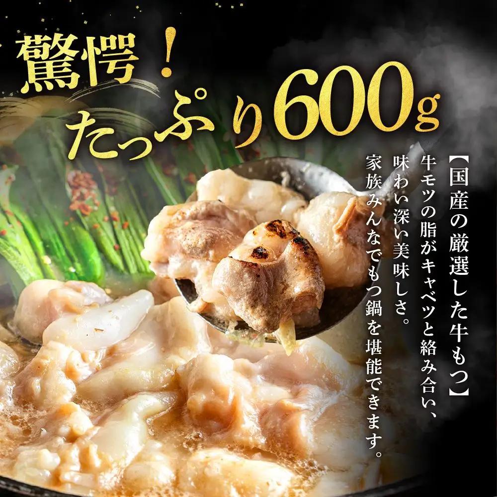 魚住商店特製 国産牛もつ使用 塩もつ鍋セット(4～6人前)【魚住商店】_HA2000 〆のチャンポン麺付き 国産モツ鍋 鍋 ホルモン 肉 もつ 国産もつ鍋 塩もつ鍋 塩モツ鍋 出汁つき 小分け 個包装