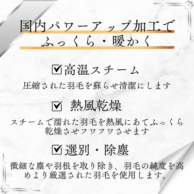 洗える羽毛合い掛け布団シングル ダウン90%350dp羽毛1.2kg 北欧デザイン ベージュ