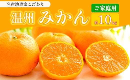 
熊本県産 家庭用 みかん 約 10kg 下田農園
