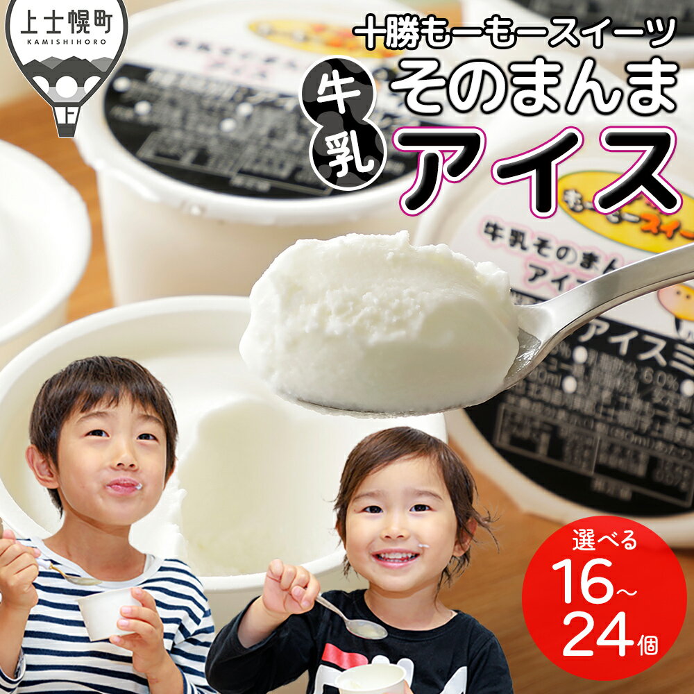 十勝もーもースイーツ 牛乳そのまんまアイス 80ml×27個