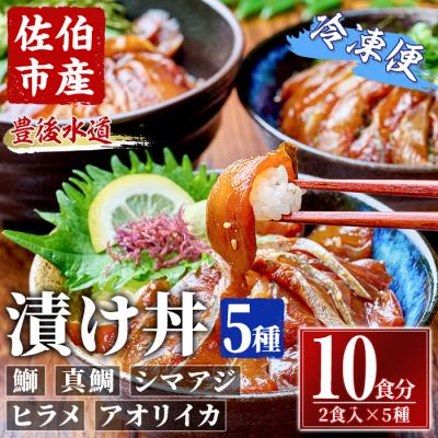 ふるさと納税 佐伯市 漬け丼 5種セット (計10食分・2食入×5種)