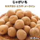 【ふるさと納税】じゃがいも3種食べ比べ（キタアカリ・とうや・メークイン）計約6kg