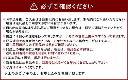 【3回定期便】あまおう 3パック いちご 苺 イチゴ フルーツ 果物【2027年1月下旬～4月下旬発送予定】