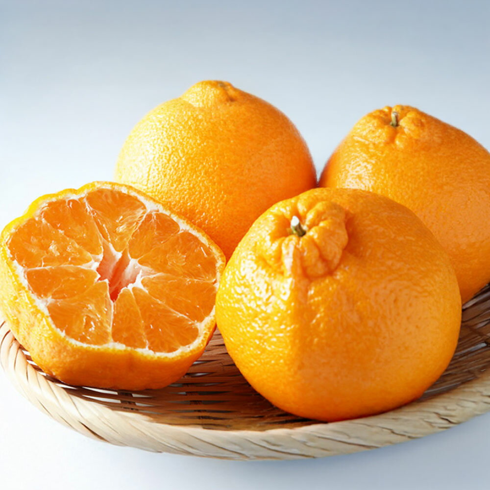 【ふるさと納税】＜選べる内容量＞ 不知火 約3kg / 約5kg / 約8kg 柑橘 かんきつ フルーツ くだもの 果物 果実 デザート 佐賀県産 国産 佐賀県 太良町 送料無料 【2027年2月下旬～4月上旬発送予定】