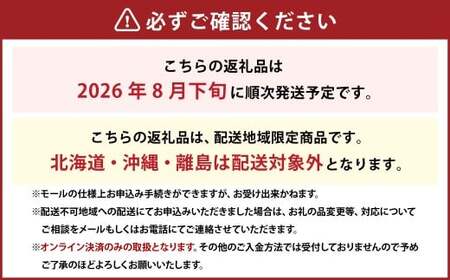 ぶどう 2026年 先行予約 ニュー ピオーネ 2房 合計1.2kg以上 【2026年8月下旬発送予定】 ／ ブドウ 葡萄 ニューピオーネ 岡山県産 国産 フルーツ 果物 ギフト 河本農園 岡山県 美
