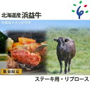 【ふるさと納税】牛肉 道産牛 北海道【～6月末迄・予定数量に到達次第受付終了】浜益牛(黒毛和牛)ステーキ用【リブロース】石狩市 いしかり 北海道 北海道産素材 道産 惣菜 総菜 ステーキ 焼肉 すてーき 鉄板焼き 肉料理 焼肉 国産牛 北海道牛 肉【NEW】