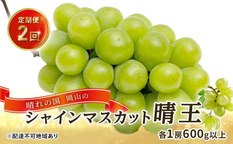 ぶどう 2025年 先行予約 晴れの国 岡山の シャイン マスカット 晴王 定期便 2回（各1房600g以上） 葡萄  岡山県産 国産 フルーツ ギフト
