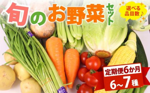【朝採れ】定期便 6か月 野菜 セット 6~7品目 以上 お野菜 季節 野菜 旬 新鮮 産地直送 詰め合わせ やさい おいしい セット 美味しい たっぷり 旬の野菜 セット 詰め合わせ  国産 新鮮 お試し おまかせ お楽しみ 牧之原産 サラダ 野菜 朝採れ 季節の野菜 食品 冷蔵 お取り寄せ きせつ 農家 旬 春 夏 秋 冬 季節もの とれたて セット 丸新柴本製茶 静岡 県 牧之原市