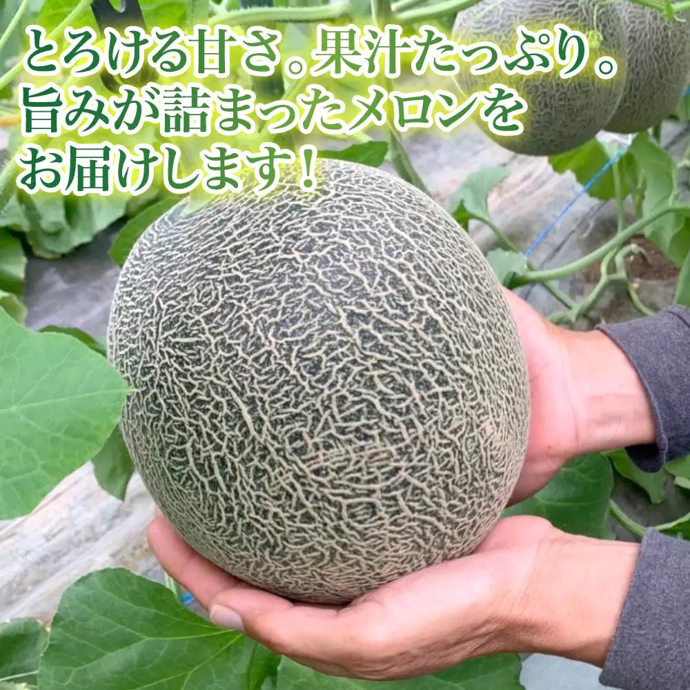 メロン 【先行予約】熊本県 八代市産 肥後グリーン 約4kg （2玉入） 【2027年5月中旬より順次発送】 メロン