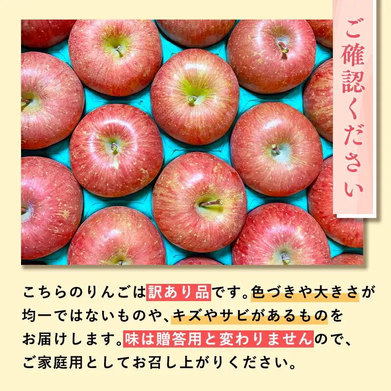 りんご 家庭用 樹上完熟ぐんま名月 約3㎏ 青森県平川市産 [hi-0038-020]