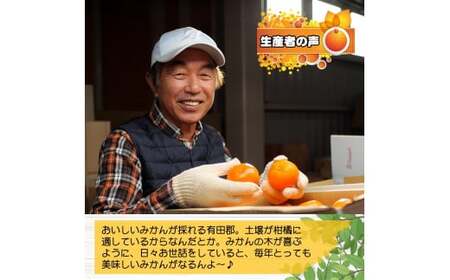 有田みかん　しにせの味（5kg）サイズお任せ　※着日指定不可 ≪ 有田 みかん ミカン 蜜柑 柑橘 果物 フルーツ 国産 和歌山 ≫【tkf006-h】