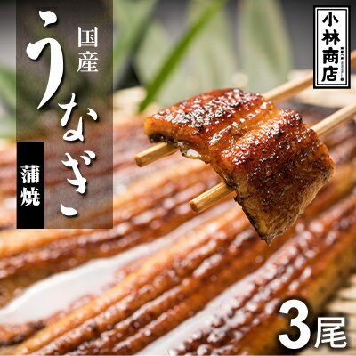 【ふるさと納税】うなぎの六三 こばやし商店 国産 蒲焼うなぎ 約135g×3尾 自家製たれ3個付 木箱入【配送不可地域：離島・沖縄県】【1584070】
