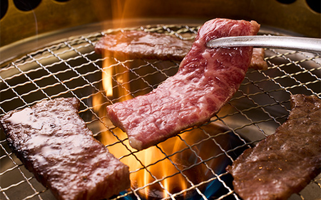 【米沢牛黄木】米沢牛バラ・赤身焼肉用500g F2Y-5898