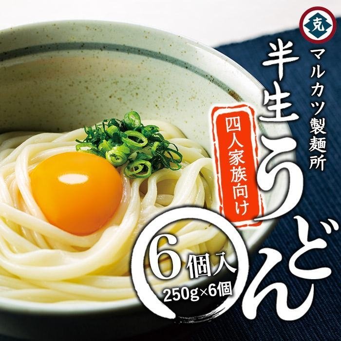 【ふるさと納税】【ギフト用】半生うどん 250g×6個 4人家族向け（贈答用・熨斗つき）