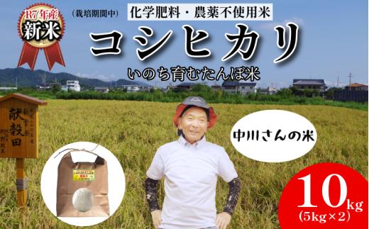 【令和7年産新米】米 コシヒカリ 10kg 天皇献上米 (栽培期間中）化学肥料・農薬不使用米 白米 精米 こめ  ご飯 備蓄米 ごはん 新米  環境 に優しい 小松島市 上王子特質米 10kg