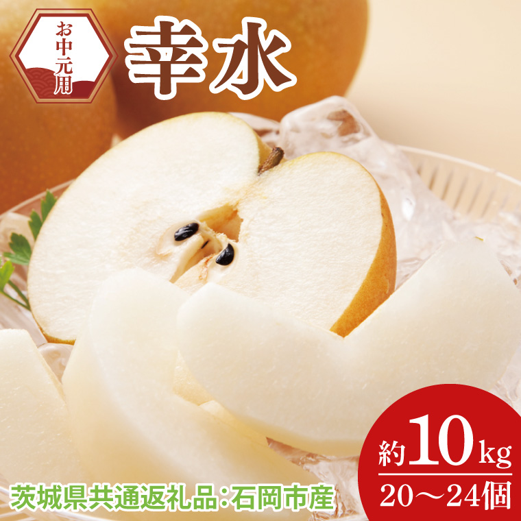 【お中元】【2025年8月より順次発送】幸水 10kg (20～24個)（茨城県共通返礼品：石岡市産）｜梨 なし 幸水 フルーツ くだもの 果物 お中元 ギフト 贈り物 数量限定 先行予約 石岡市産 共通返礼品 茨城県 大子町(CD204)