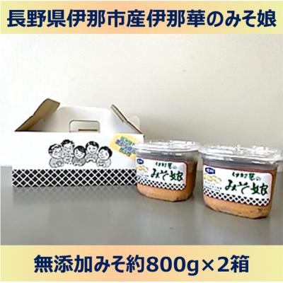 ふるさと納税 伊那市 伊那華のみそ娘　みそ　800g×2個セット