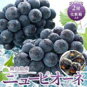 ぶどう 2026年 岡山県産 ニュー ピオーネ 2房(1房480g以上) 化粧箱入り | 葡萄 ピオーネ フルーツ 果物 くだもの フレッシュ 国産 岡山 食品 人気 おすすめ 送料無料 ギフト 贈り物 贈答品 