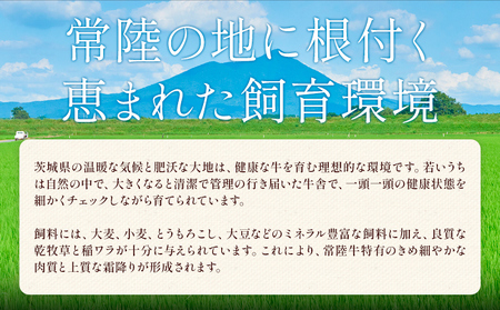 常陸牛すきしゃぶスライス500g 常陸 牛肉【配送不可地域あり】