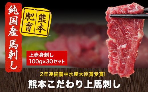 馬刺し 上赤身 ブロック 国産 熊本肥育 冷凍 生食用 たれ付き(10ml×30袋) 100g×30セット 肉 期間限定 絶品 牛肉よりヘルシー 馬肉 予約 小分け 平成27年28年 農林水産大臣賞受賞 熊本県山江村《7-14日以内に出荷予定(土日祝除く)》