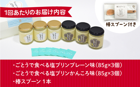 【全12回定期便】ごとうで食べる塩プリン6個 椿スプーン付き[RBA050] プリン スイーツ 塩 定期便 プリン スイーツ 塩 定期便 プリン スイーツ 塩 定期便 プリン スイーツ 塩 定期便九州