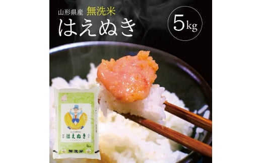 無洗米 はえぬき 5kg 令和7年産米 山形県産 米 精米 白米 庄内米 ごはん ご飯 庄内平野 酒田市 庄内 山形県 東北 セット TO 東北食糧　SB0774