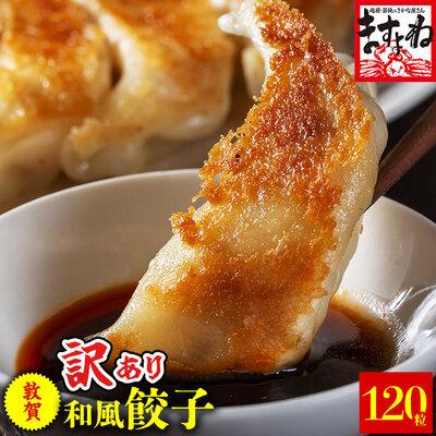 ふるさと納税 敦賀市 【訳あり】 肉汁溢れる!敦賀和風肉餃子 120個入り【ますよね 総菜 惣菜】