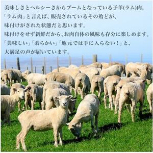 稚内の肉職人 たかみさんの熟成生ラム肉ロース厚切り(500g)【配送不可地域：離島】【1448387】