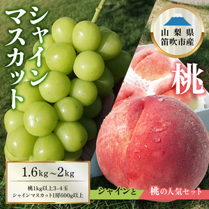 【2026年発送★先行予約】桃×シャインマスカット  1.6㎏～2㎏　桃1㎏以上～　シャインマスカット600g以上　詰め合わせセット154-047-26y