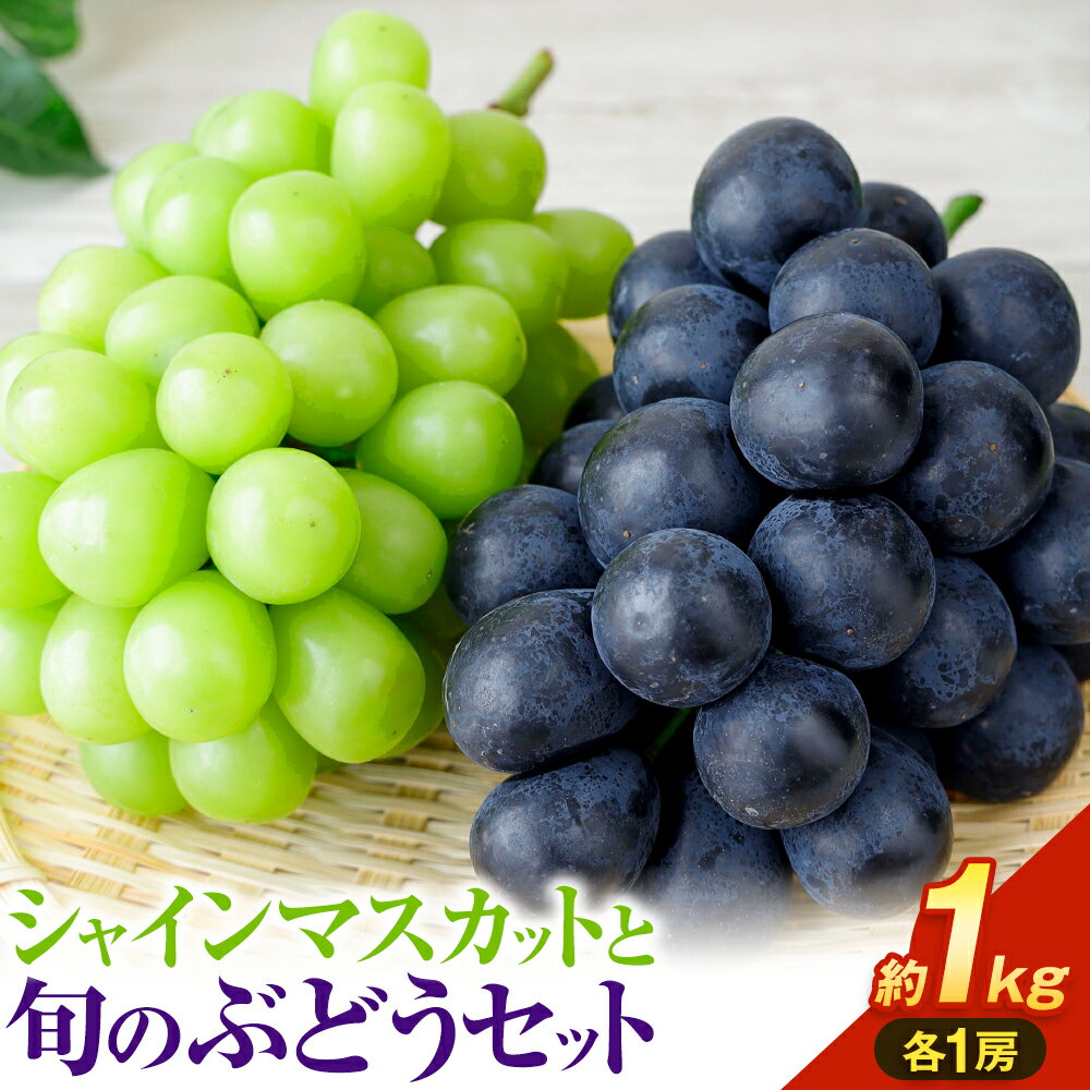 シャインマスカット ぶどう 岡山県産 シャインマスカットと旬のぶどうセット 約1kg 2房 Grapes garden goat《8月中旬〜11月上旬頃に出荷予定(土日祝除く)》岡山県矢掛町 葡萄 果物 優品 スイーツ フルーツ デザート